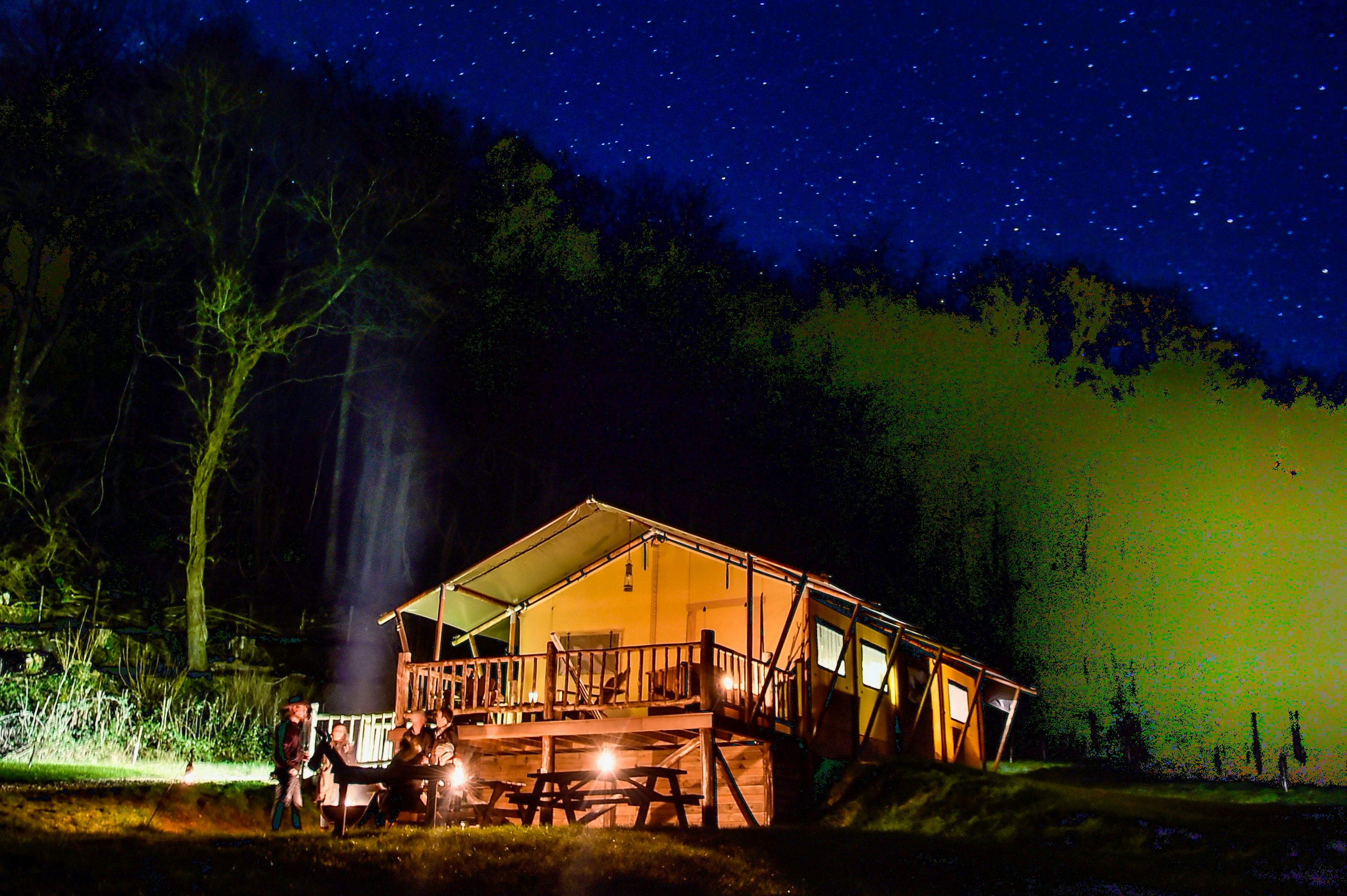 Lodge under the Night Skies