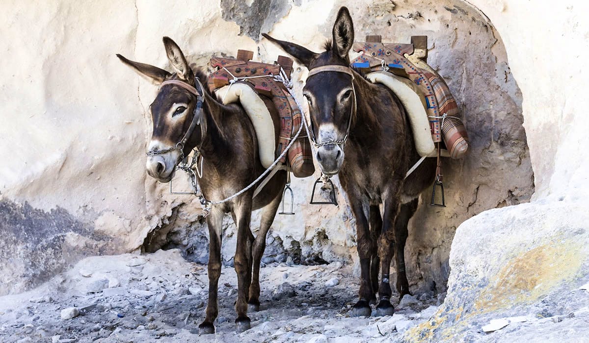 Image credit: casacook.com/rhodes