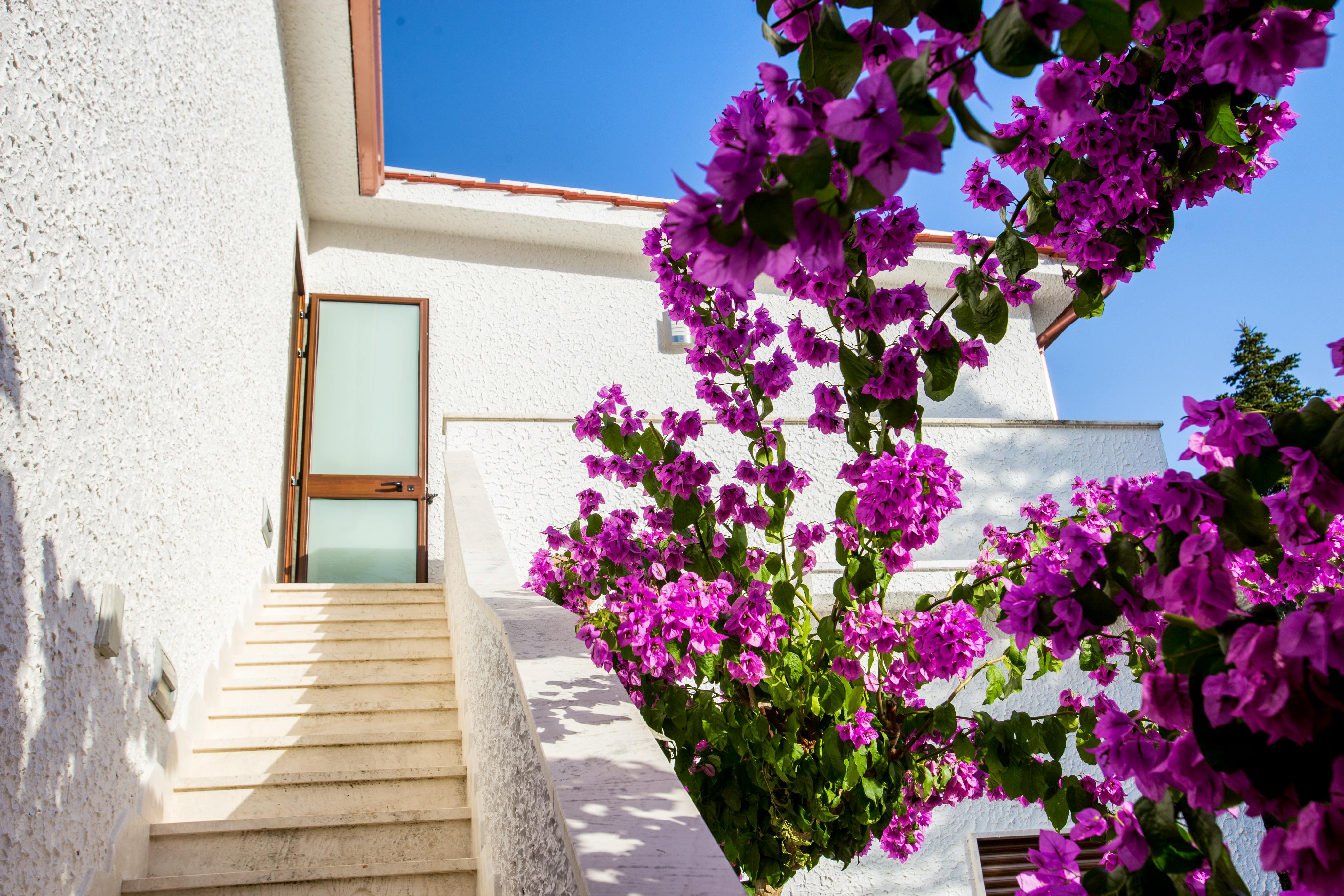 Staircase to Piccinnu