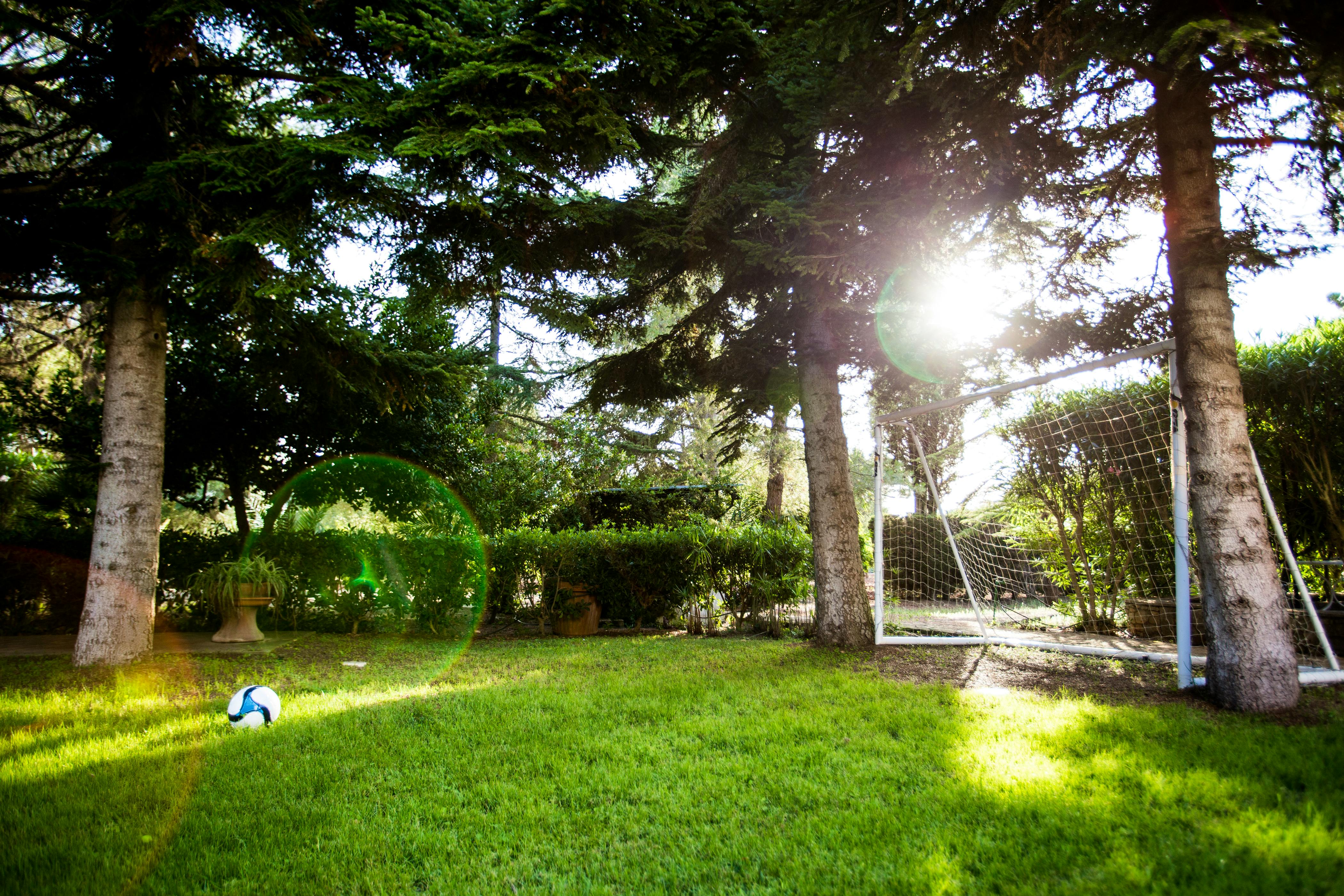 Football Goal in the garden.