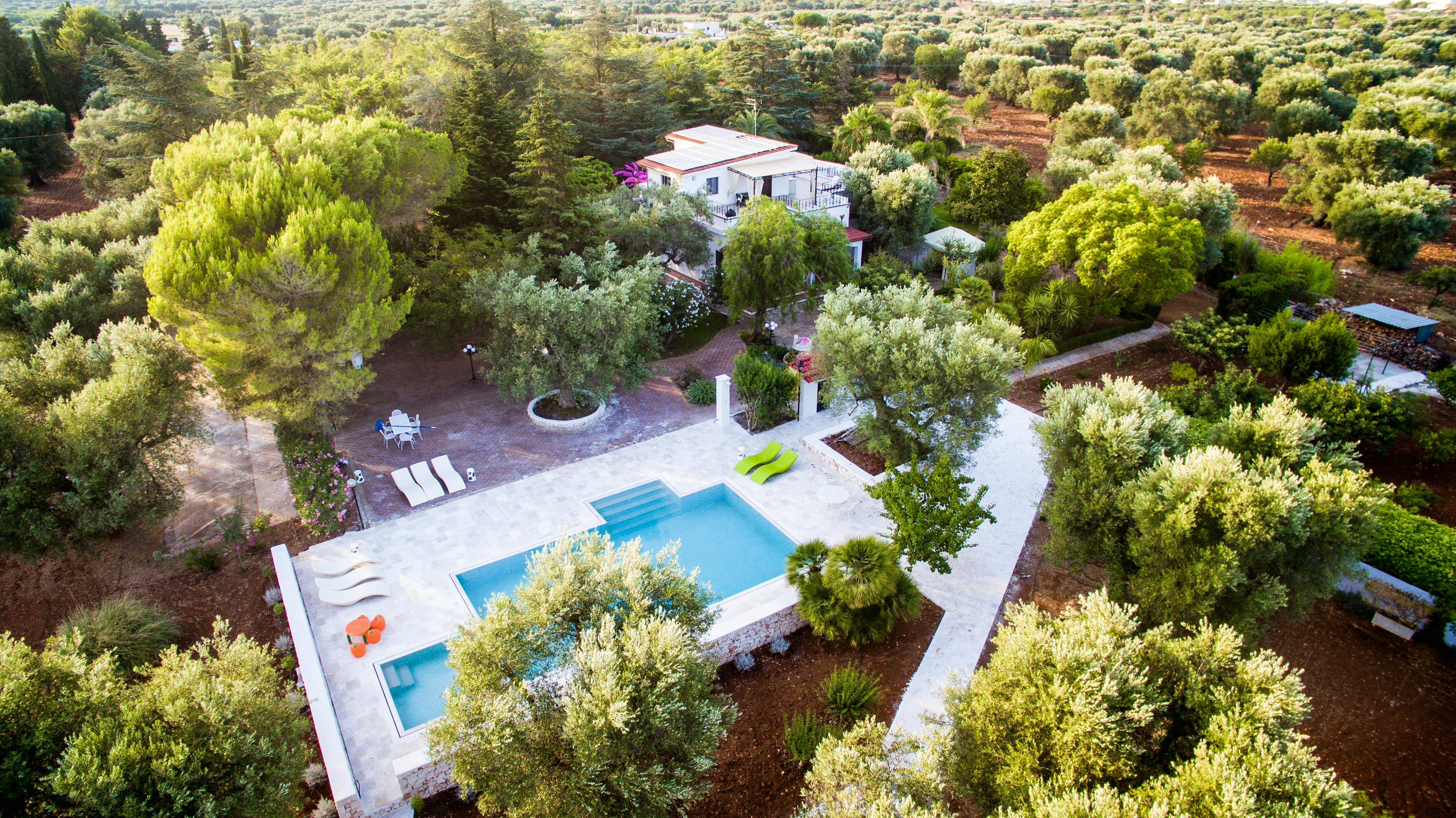 Birds' view of the pool and house