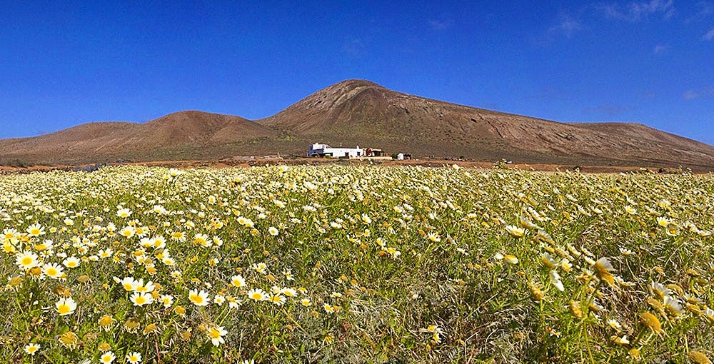 10 Best CoolStays in Lanzarote