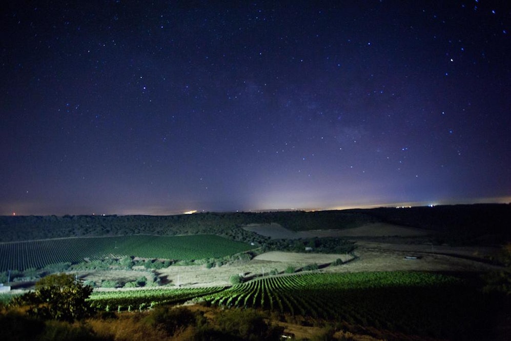 Wine Relais Feudi Del Pisciotto Rural Charm And Luxury In -