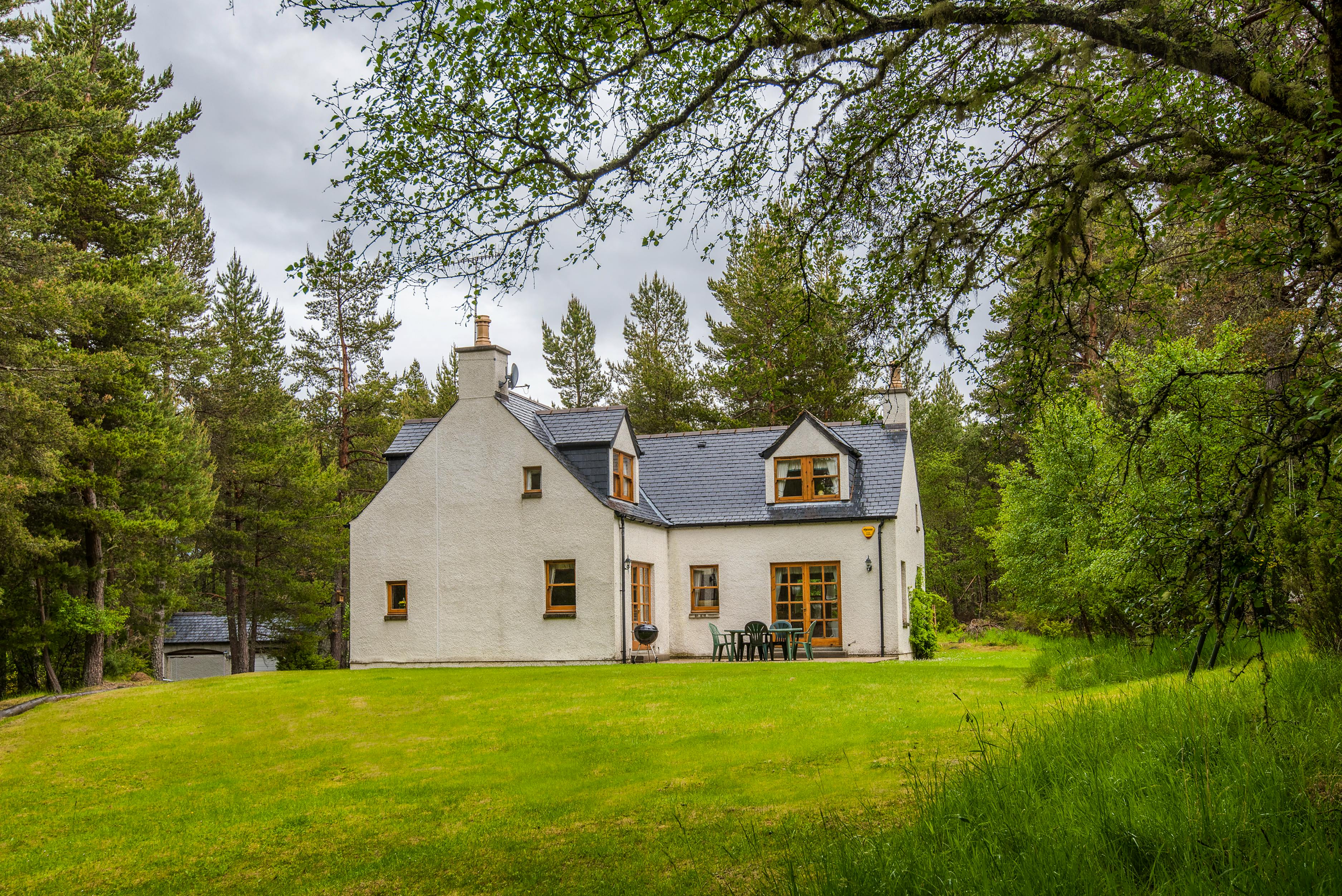 10 of the Best Dog Friendly Cottages in Scotland
