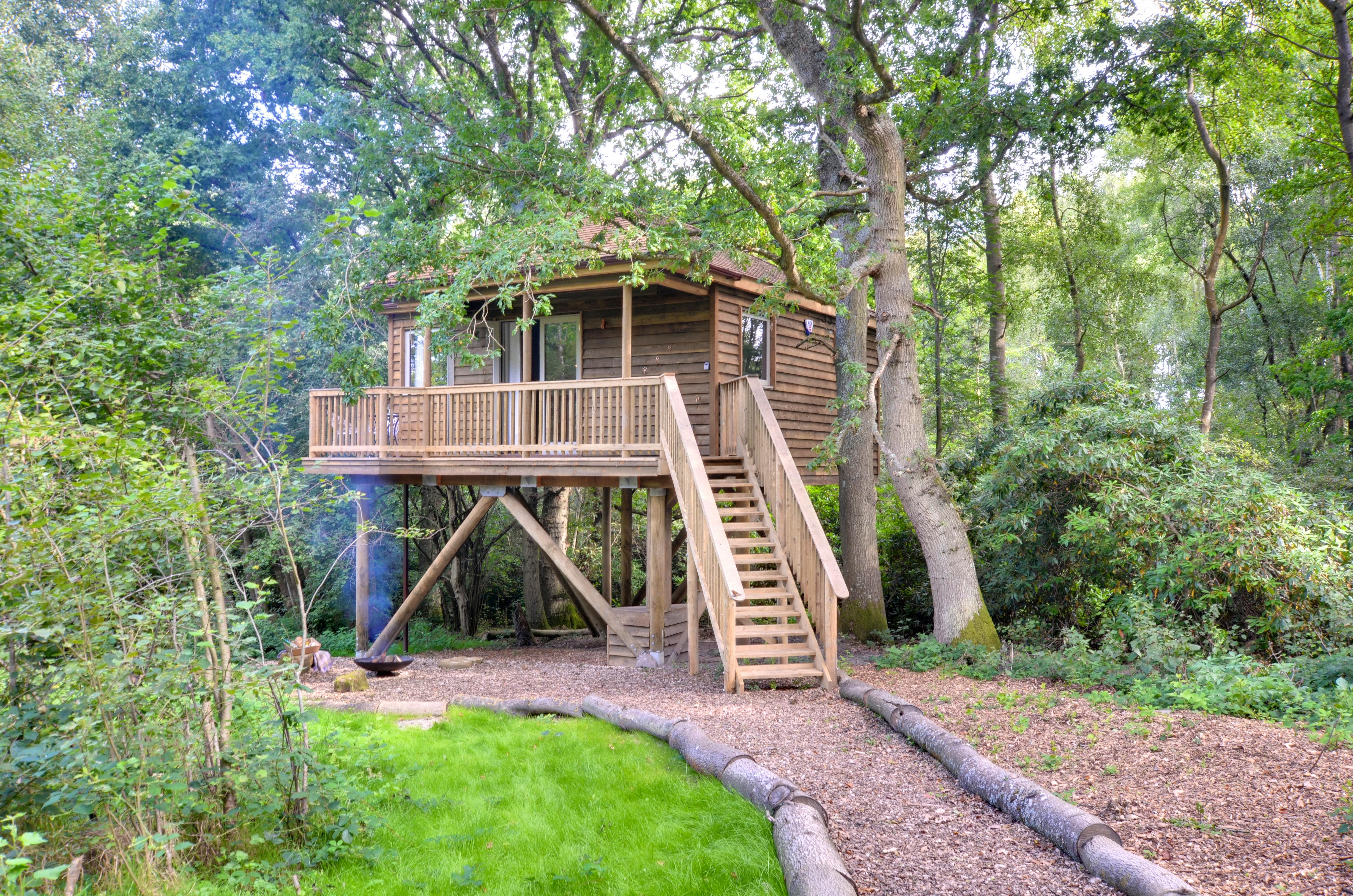Treehouses with Summer Space