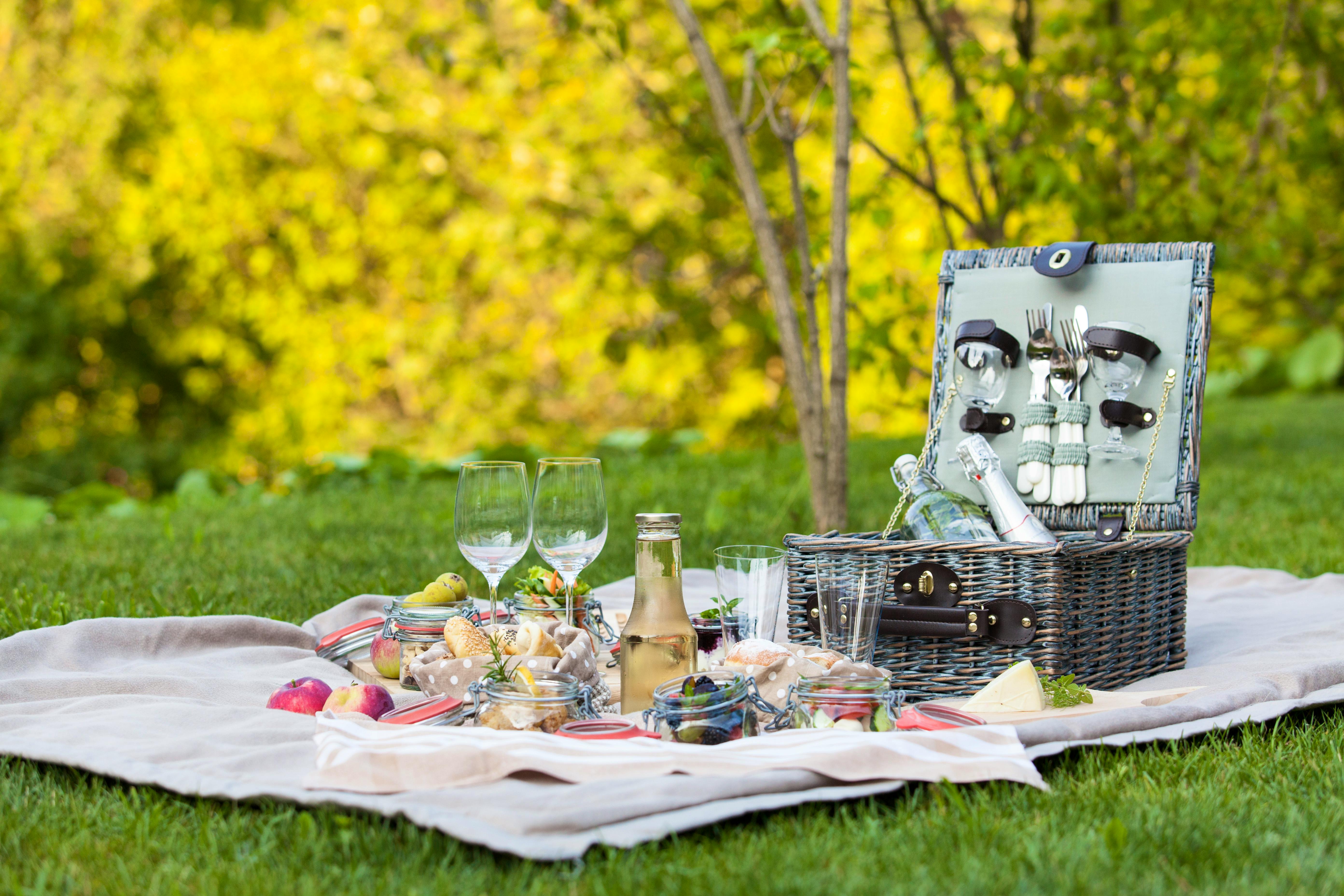 Ortenia Apartments - Cool eco apartments in eastern Slovenia