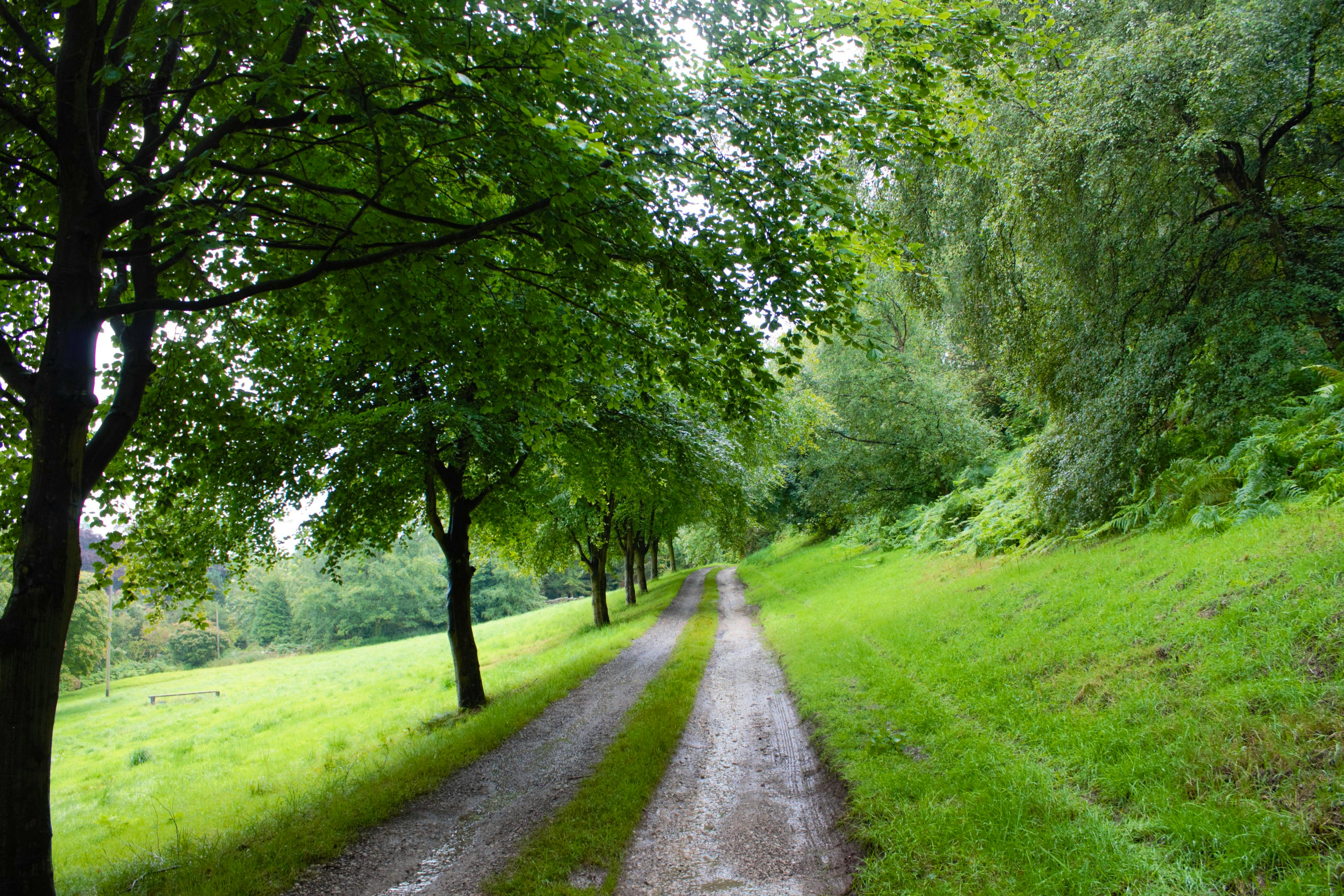 The private drive to the property