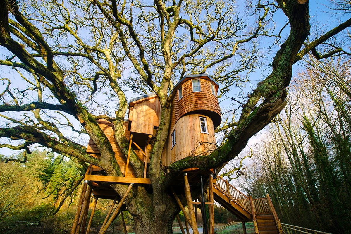 Go a tree house. Дом на дереве. Дом на дереве в Англии. Домик на дереве в Британии. Необычные дома на деревьях.