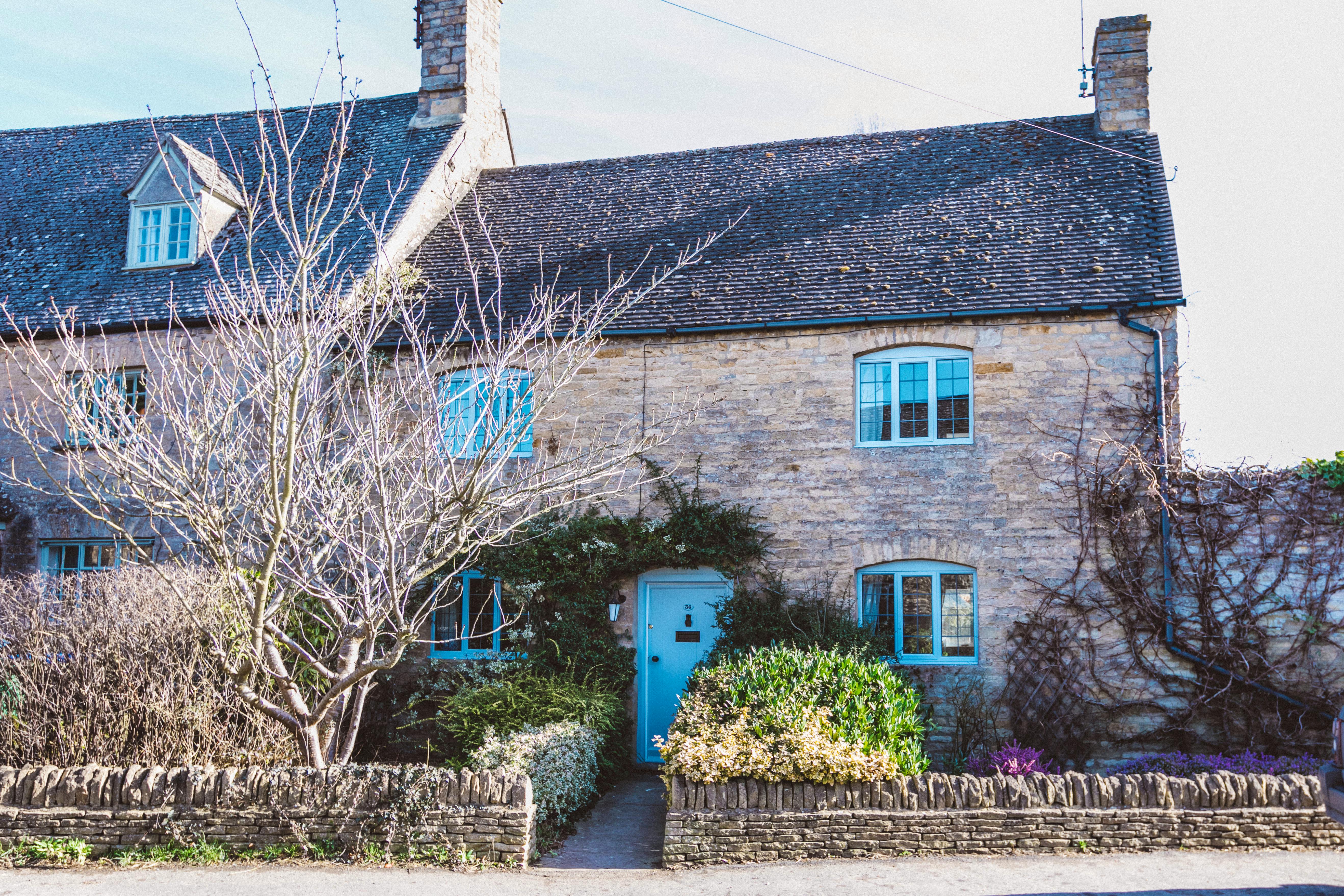 20 of the Best Dog Friendly Cottages in England