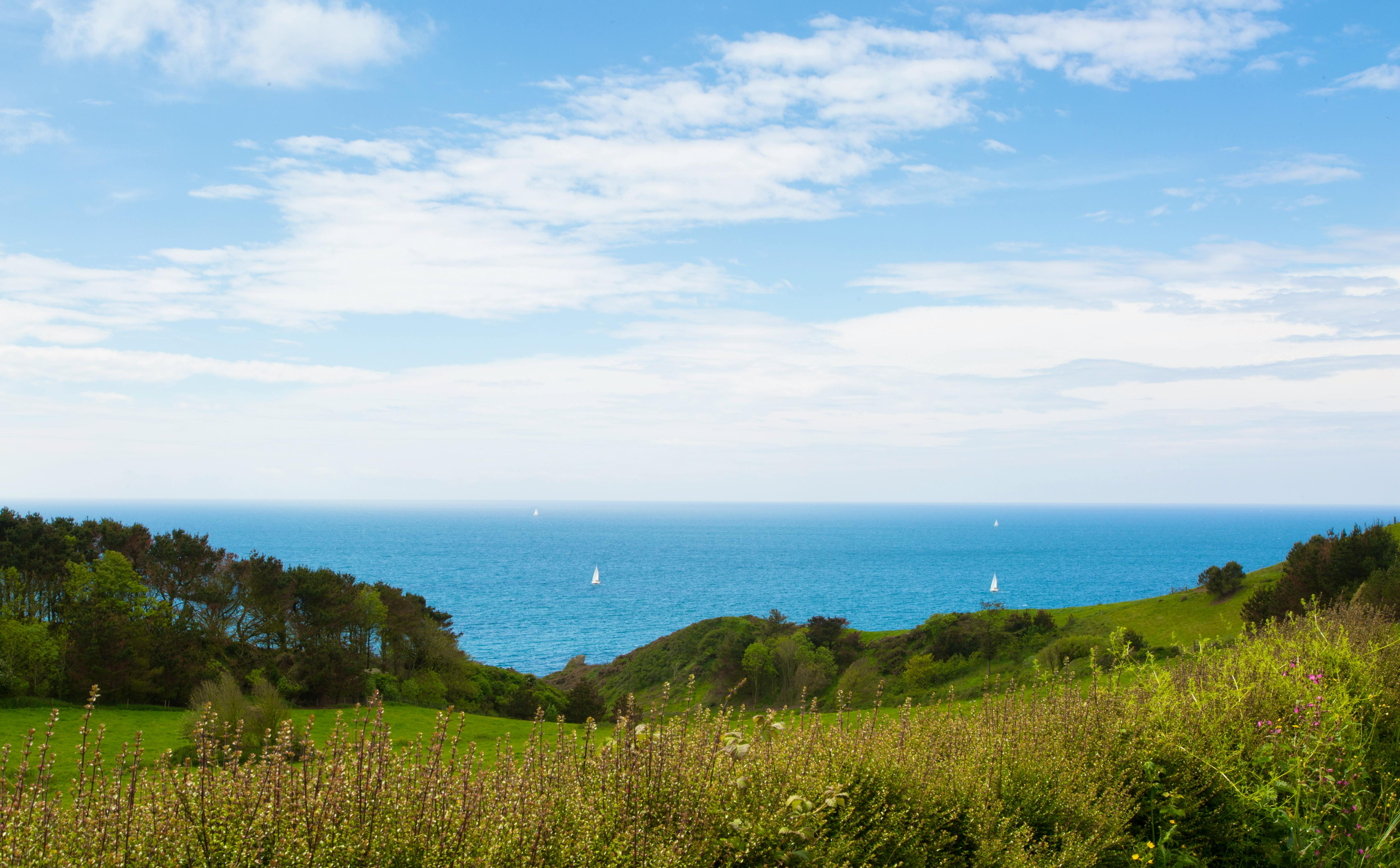 So close to the Coast 