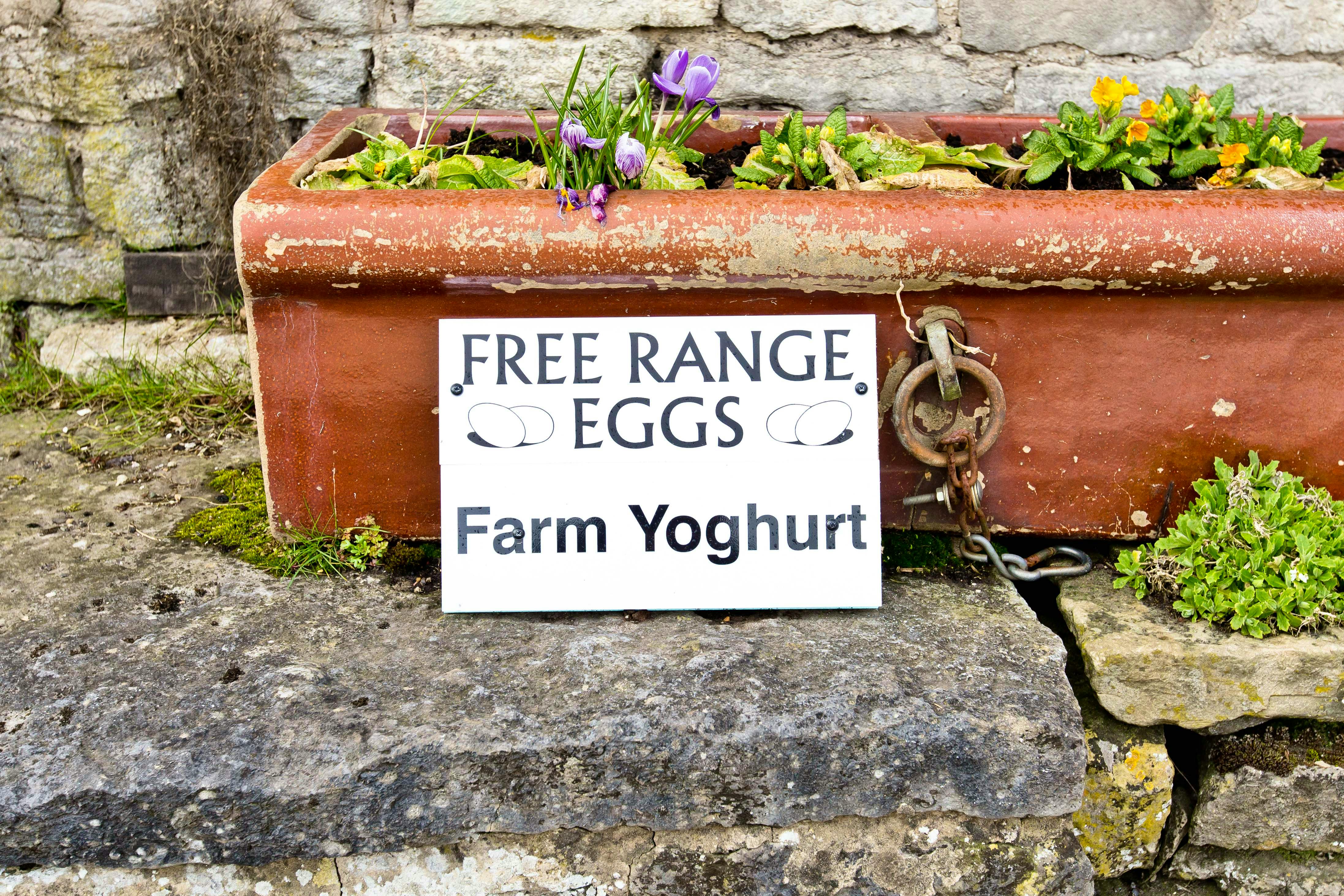 Local produce available close by