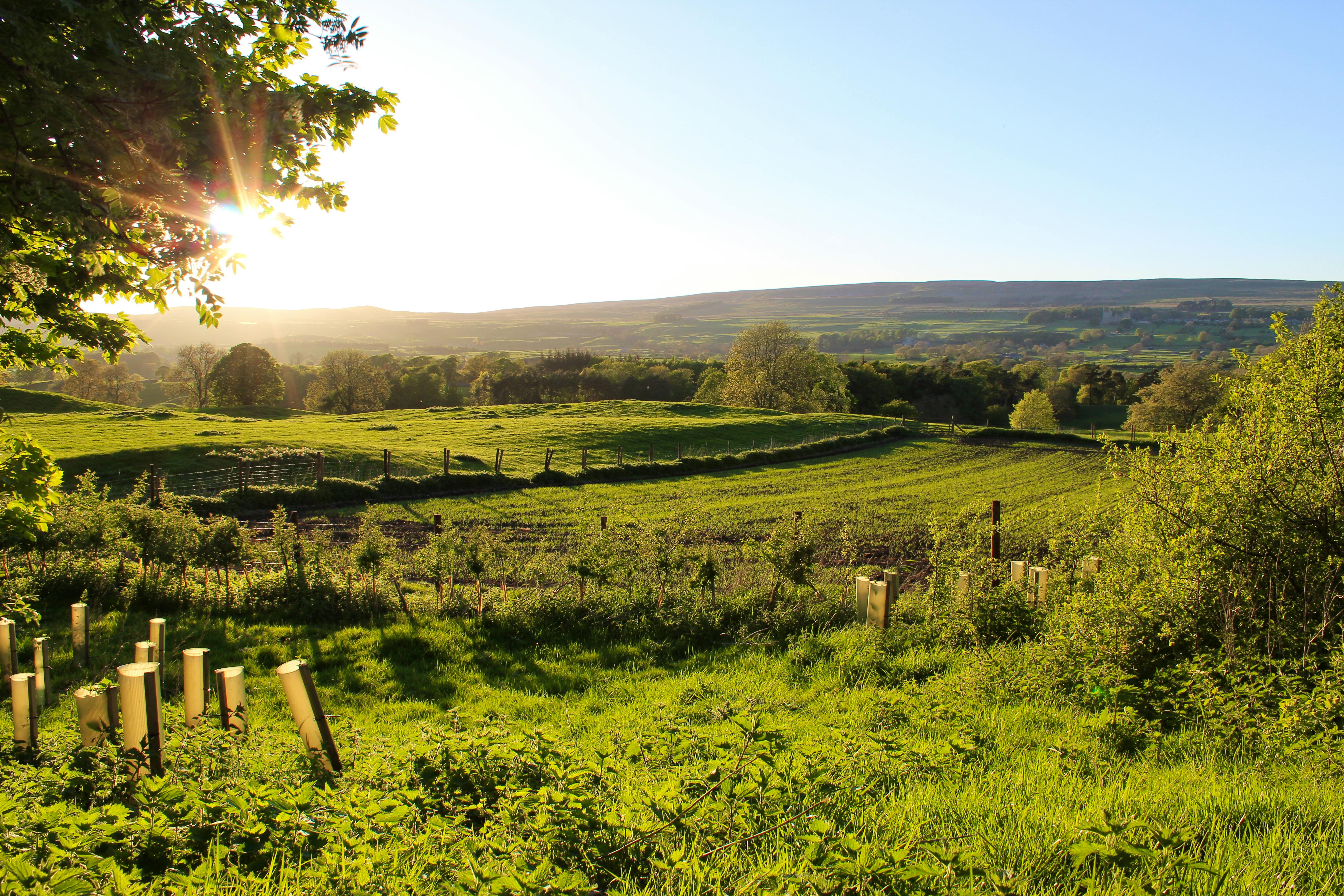 Yurt Alert - 12 of the Best Yurts