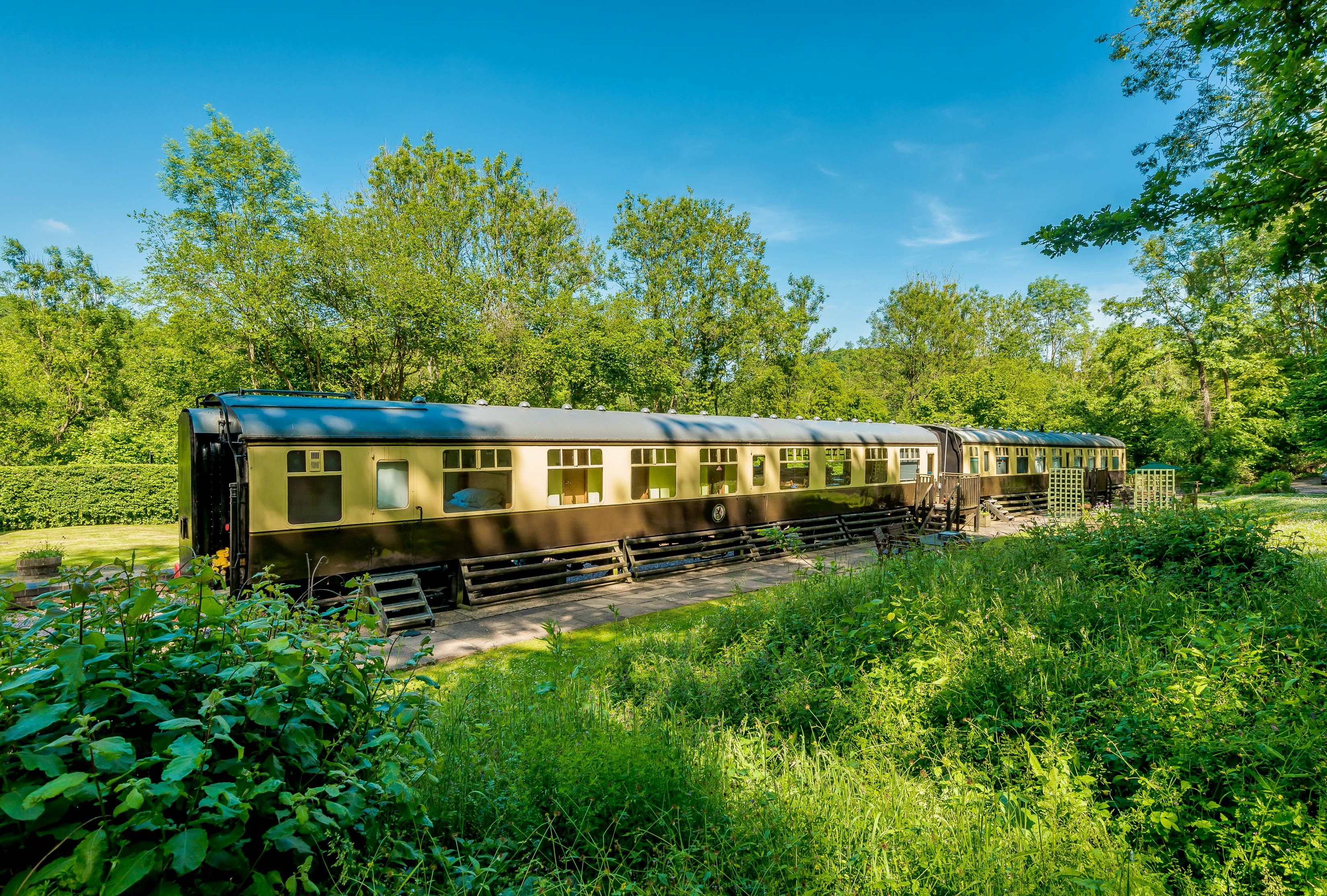 Ext. 8 view of carriages from woodland