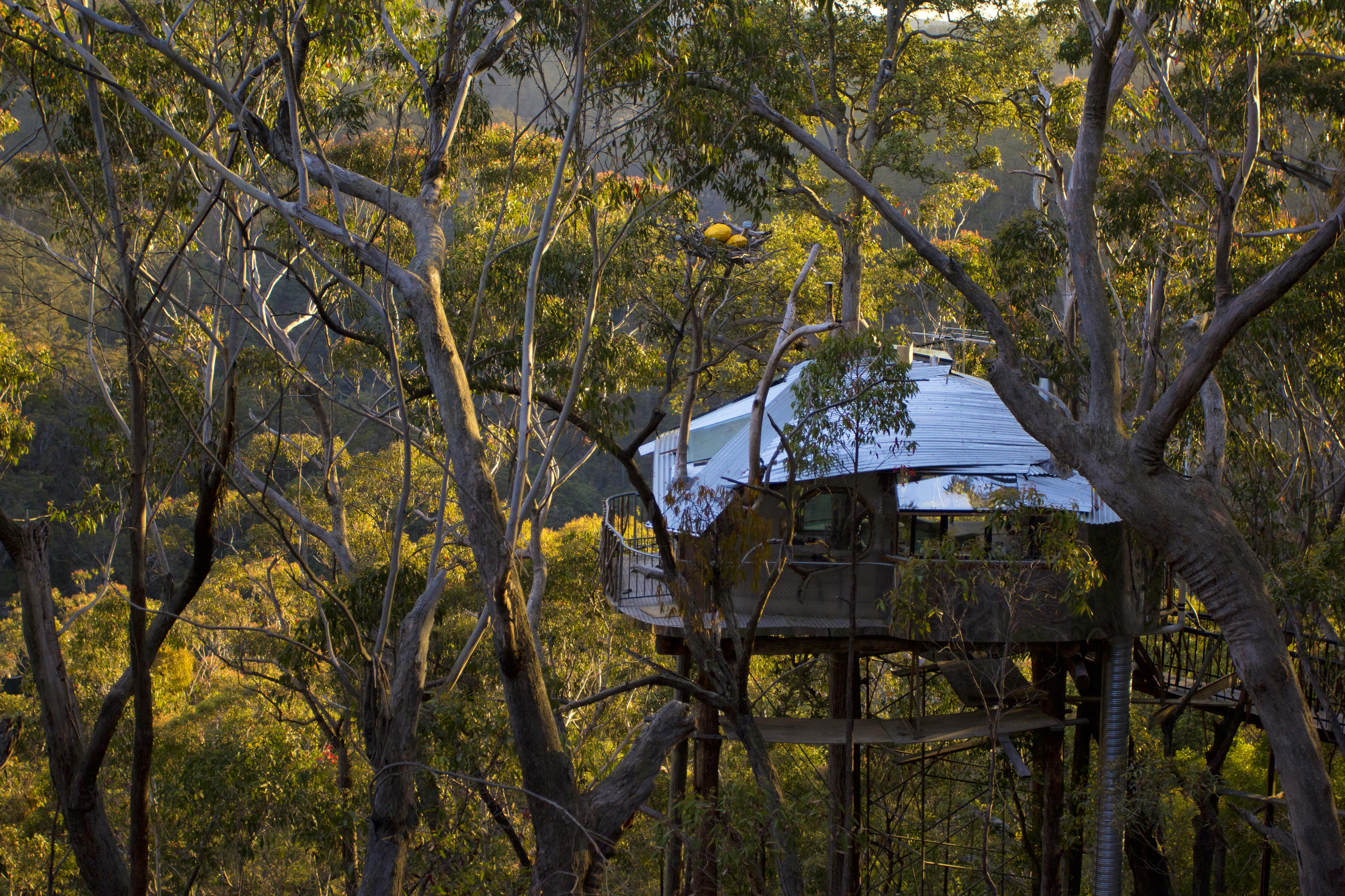 Love Cabins Romantic Cabins In Australia S Misty Blue Mountains