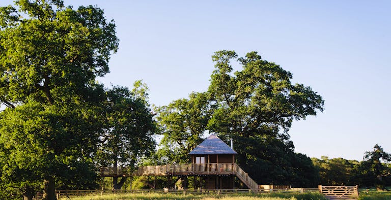 Netherby Treehouse