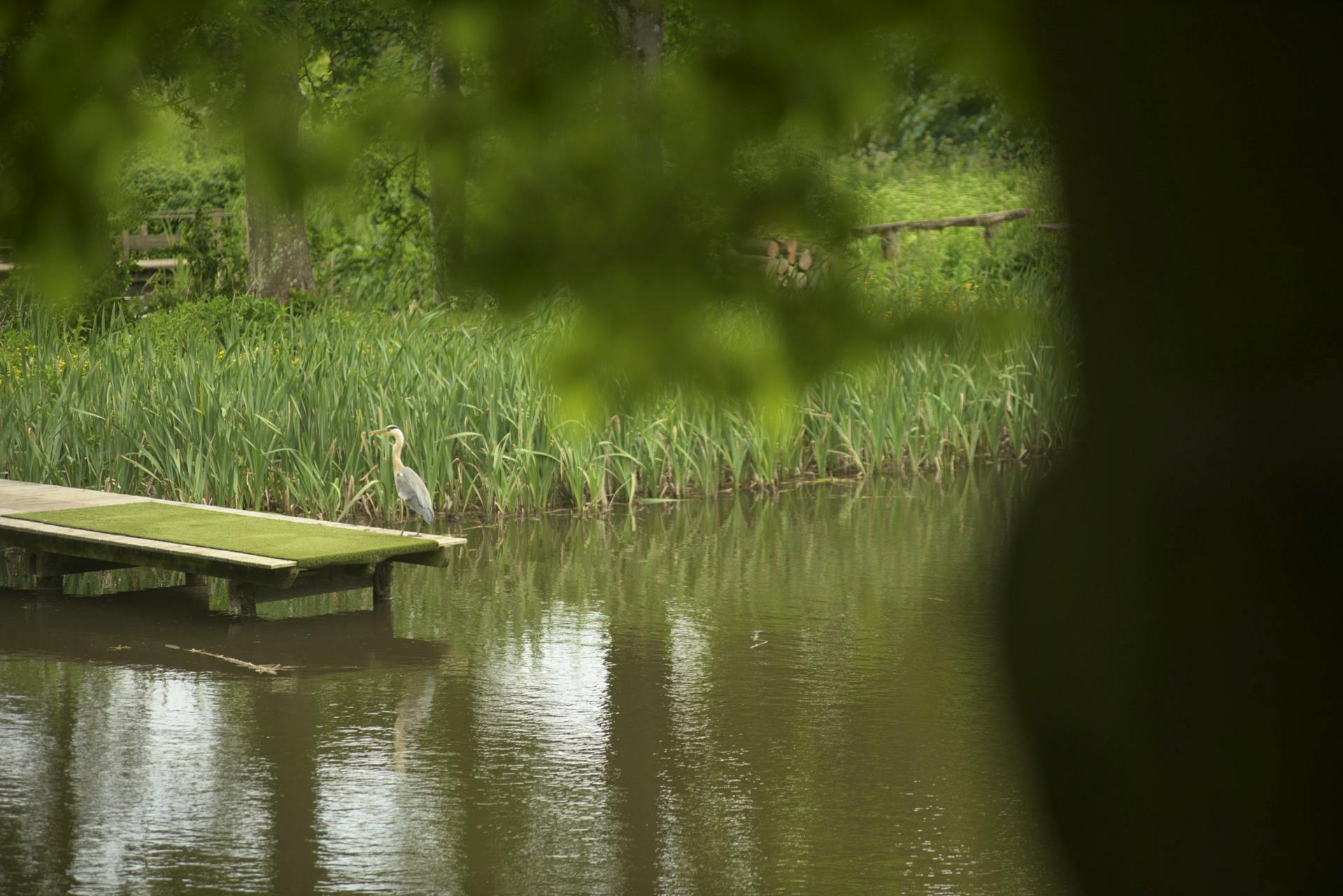 The Leannan Boathouse is surrounded by nature. 
