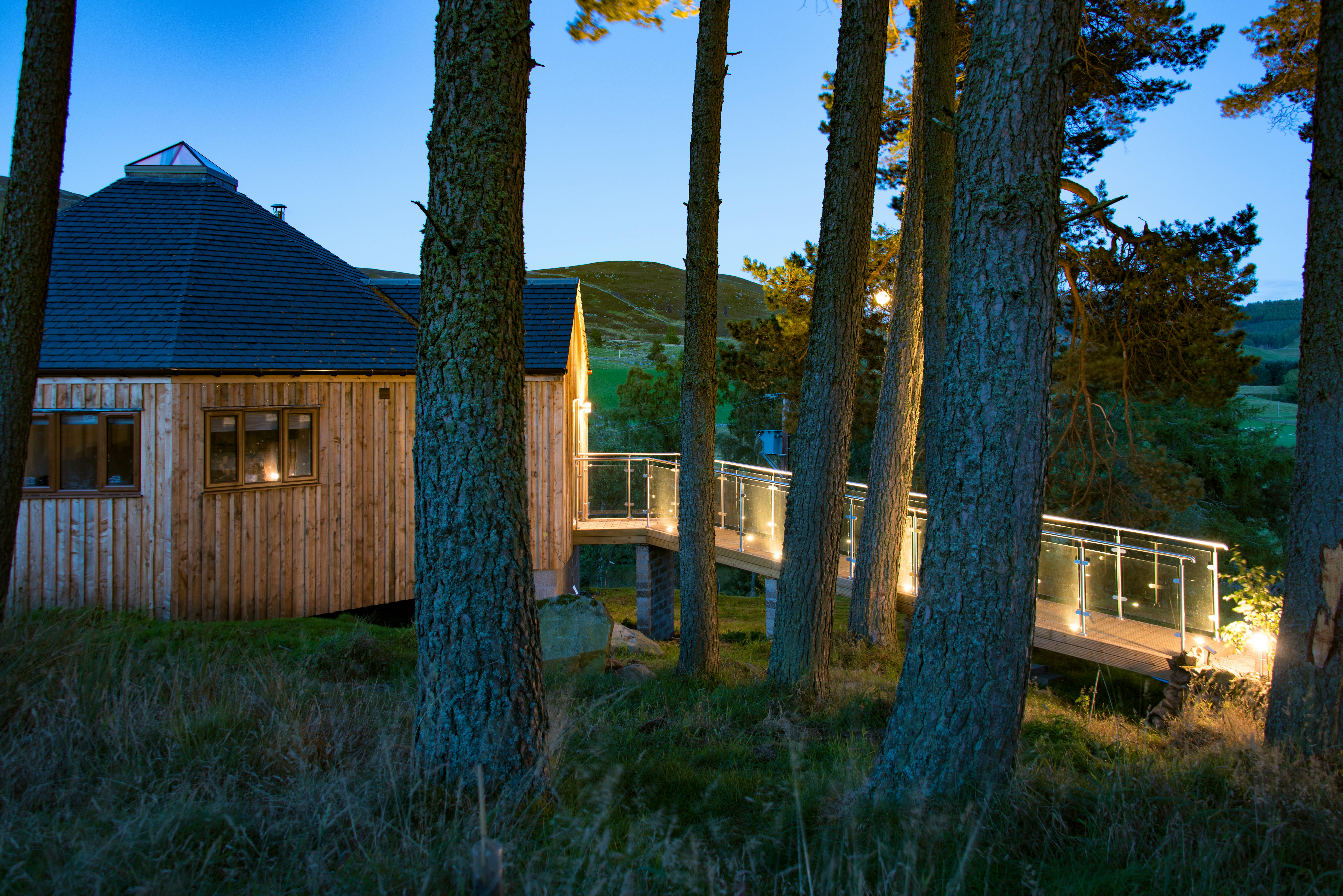 Scots Pine Treehouse 