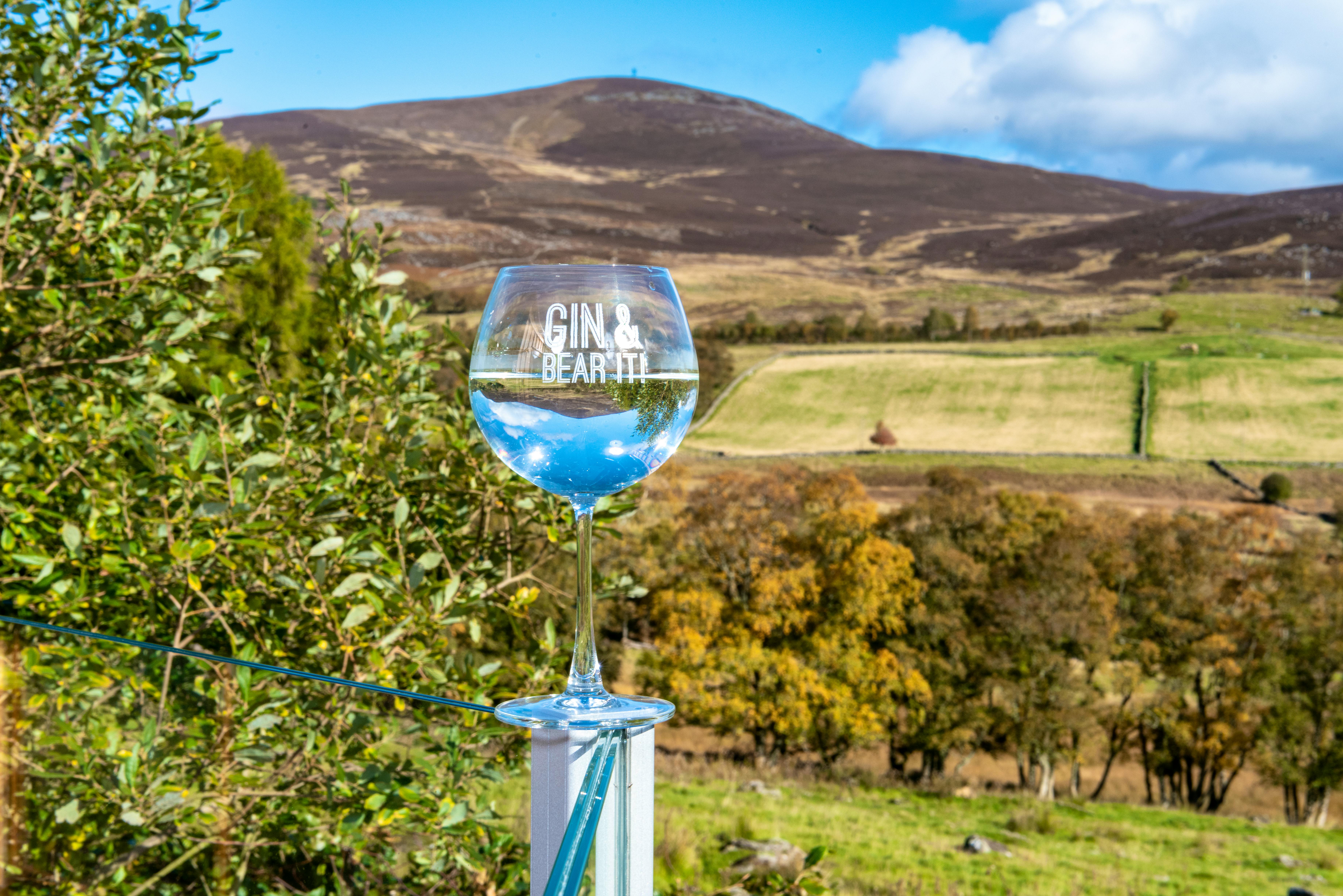 Silver Birch Treehouse - View from the decking