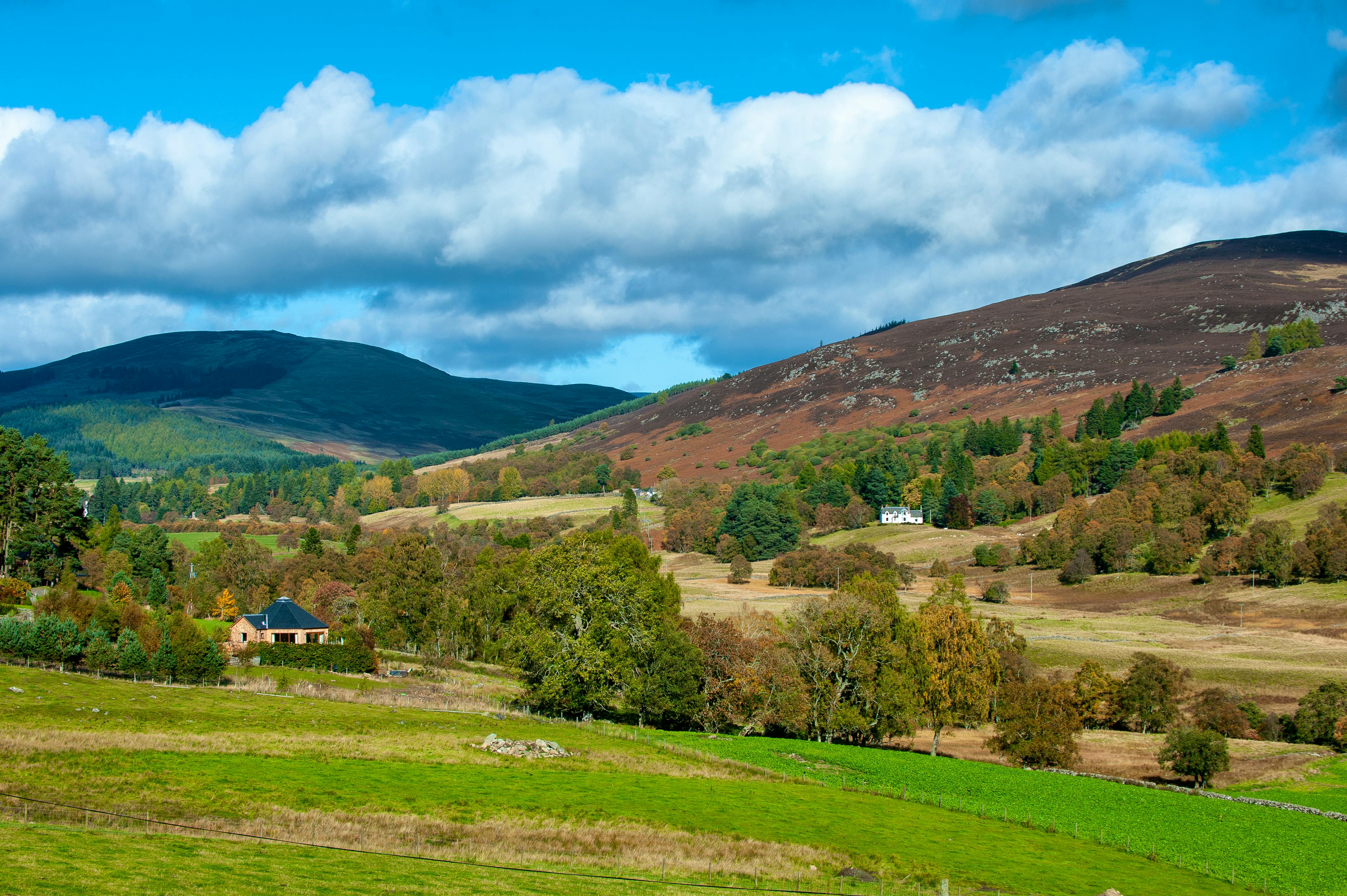 Silver Birch Treehouse with the Cairngorm Mountains behind