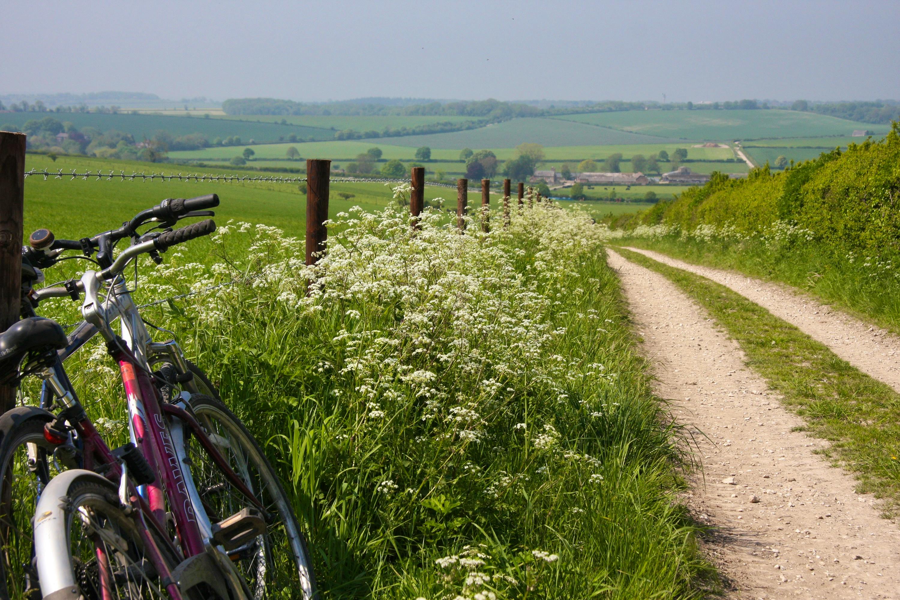 Miles of bridal ways from farm gate