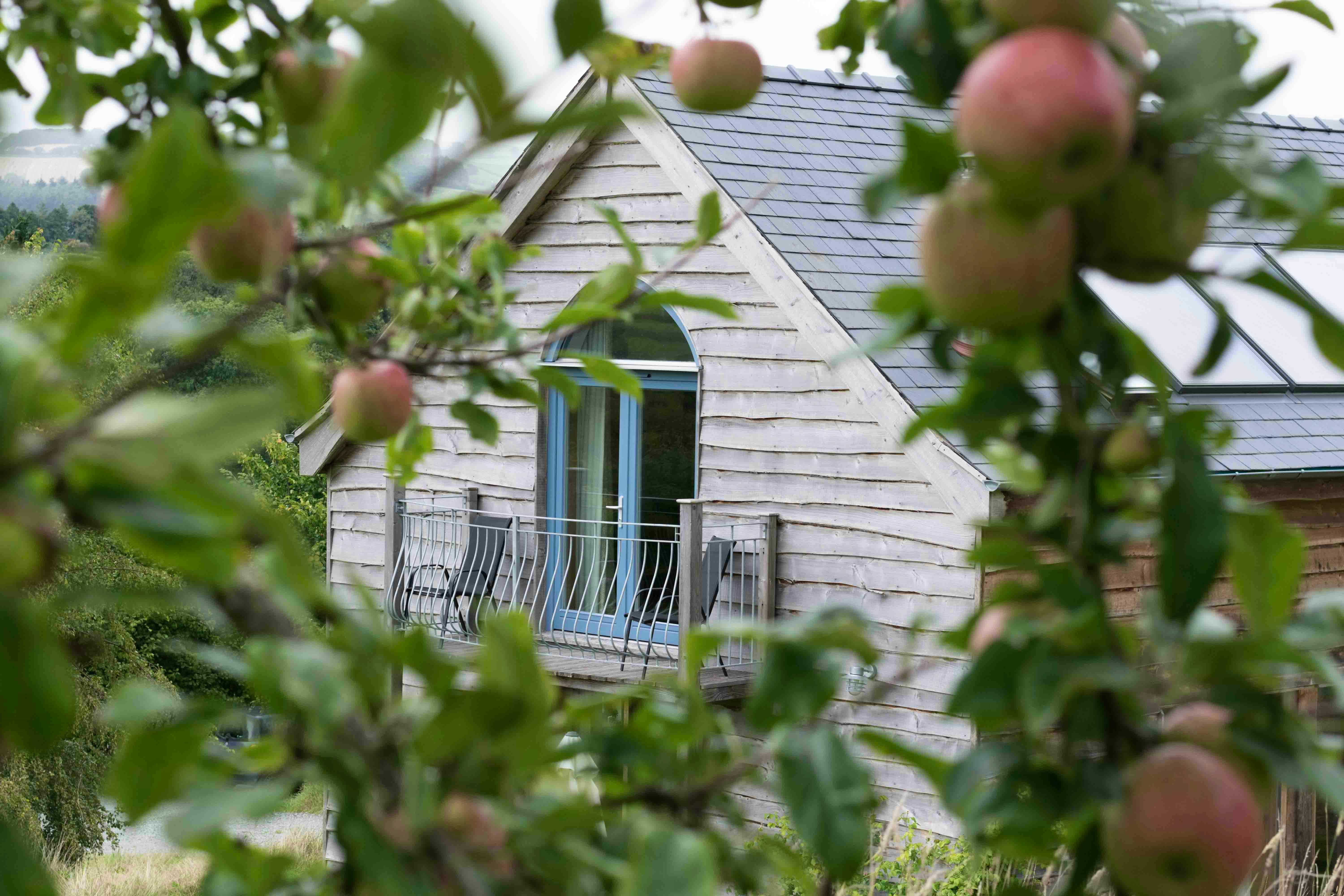 view from the orchard