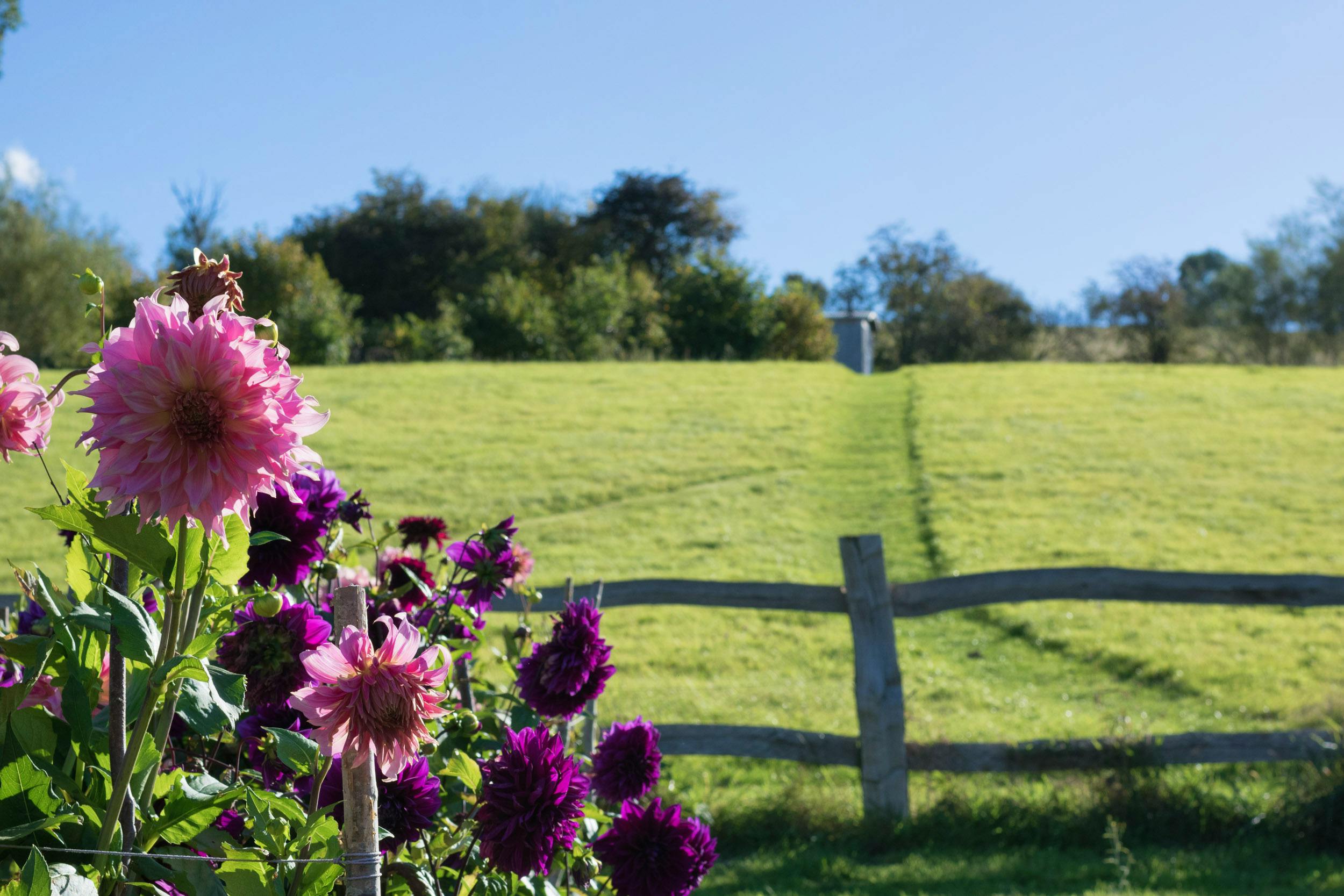 kitchen garden and route up to the Shepherd's Hut