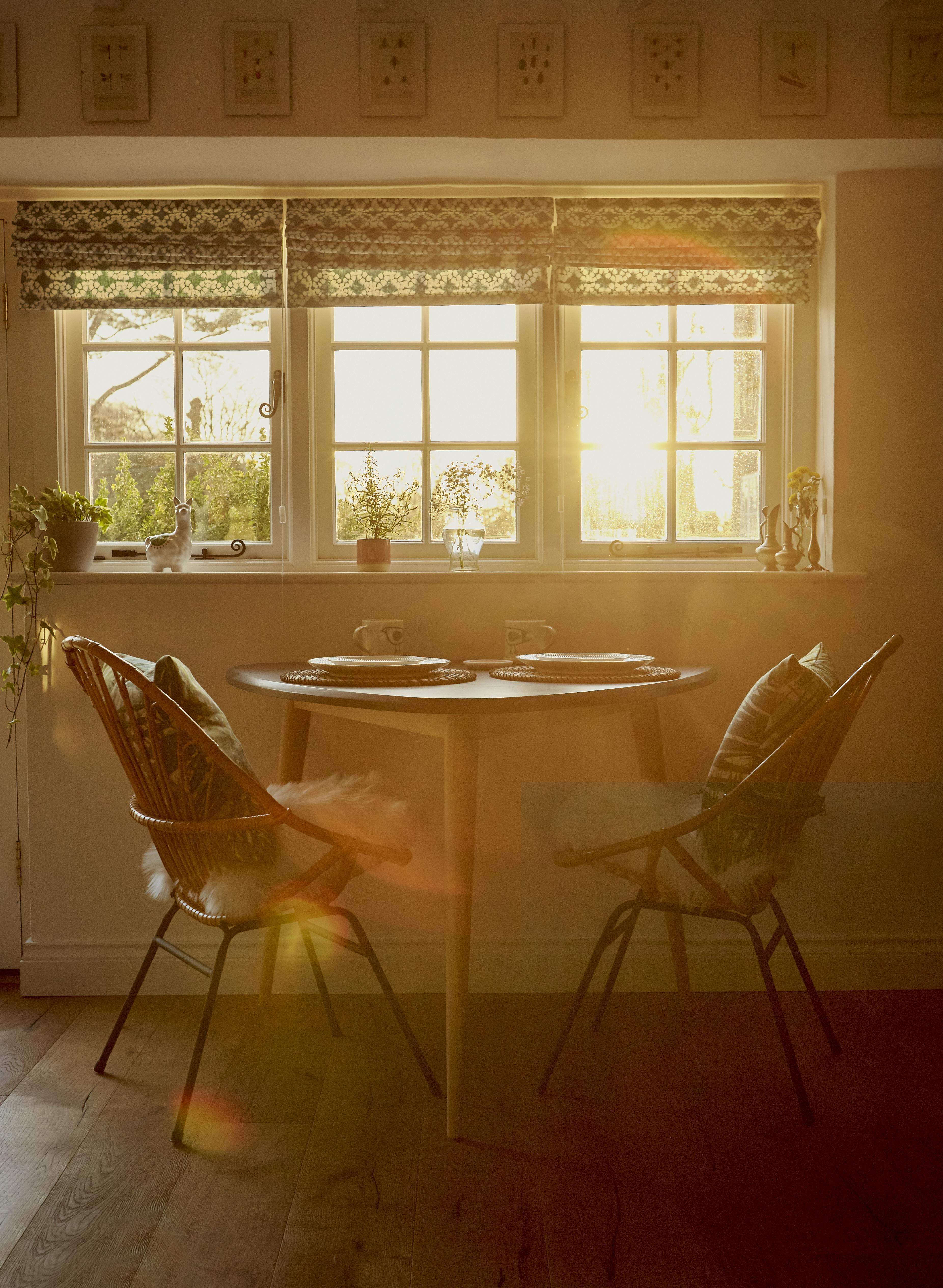 Dog Friendly Summer Staycations