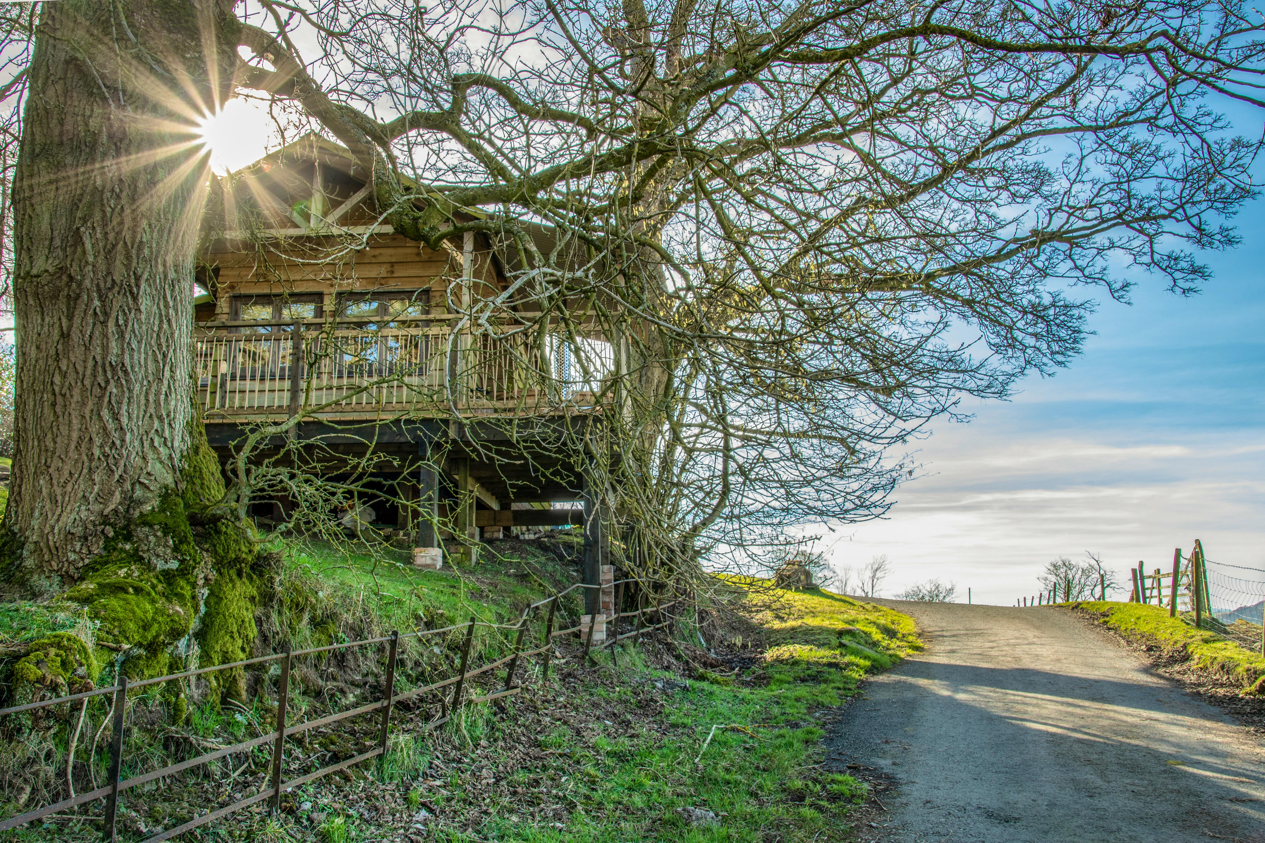 Romantic Cabins Just for 2