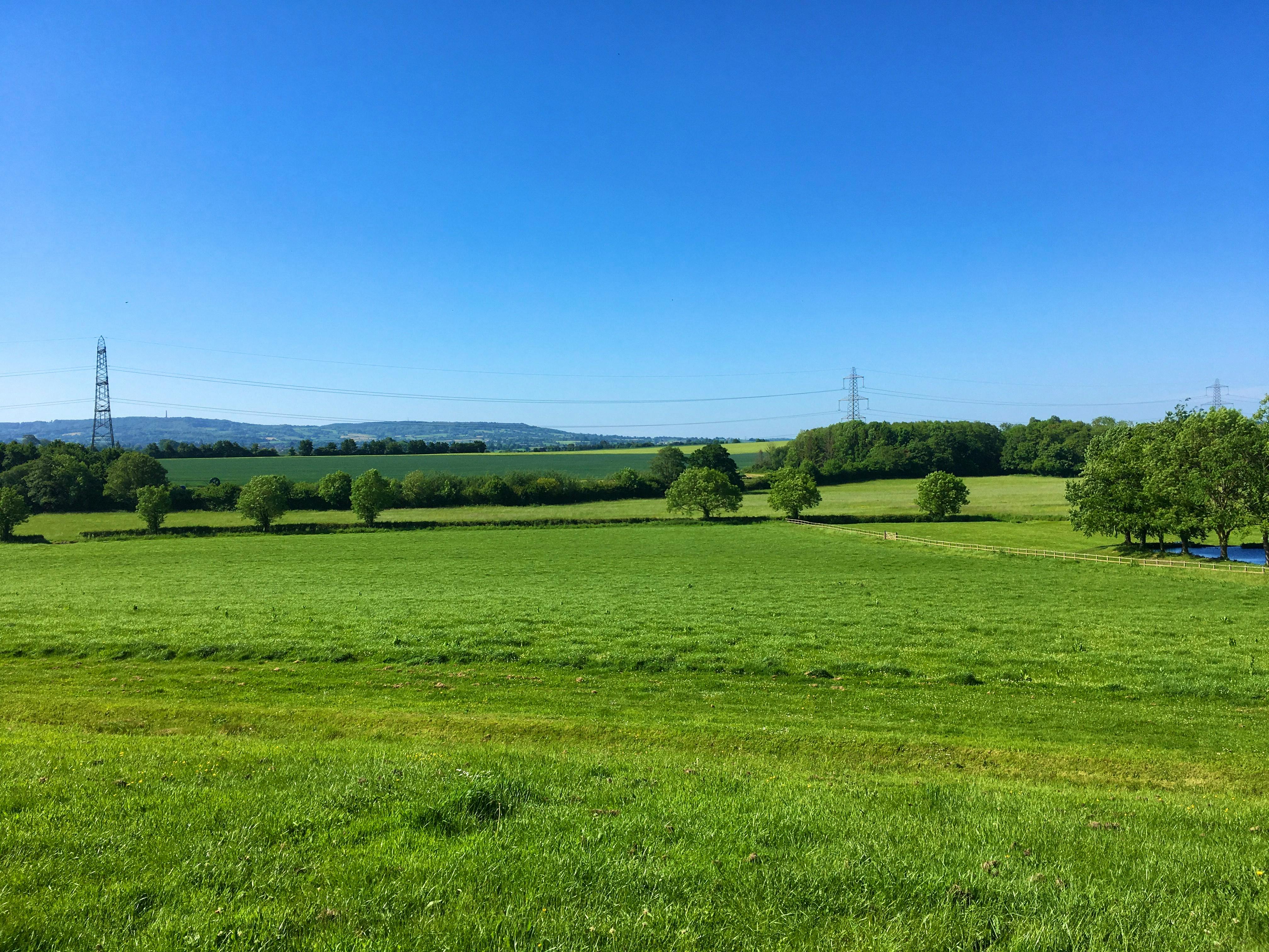 The fields of the farm