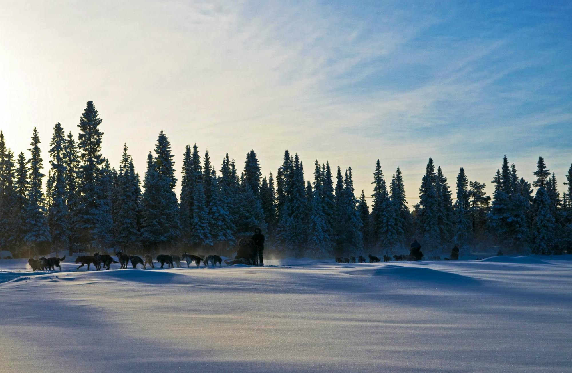 Photo: Markus Alatalo