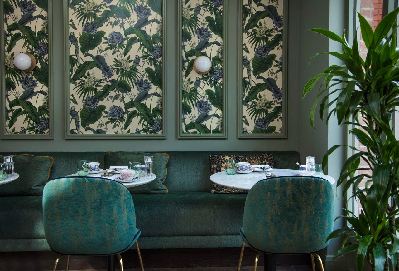 The Wilder - Image 6