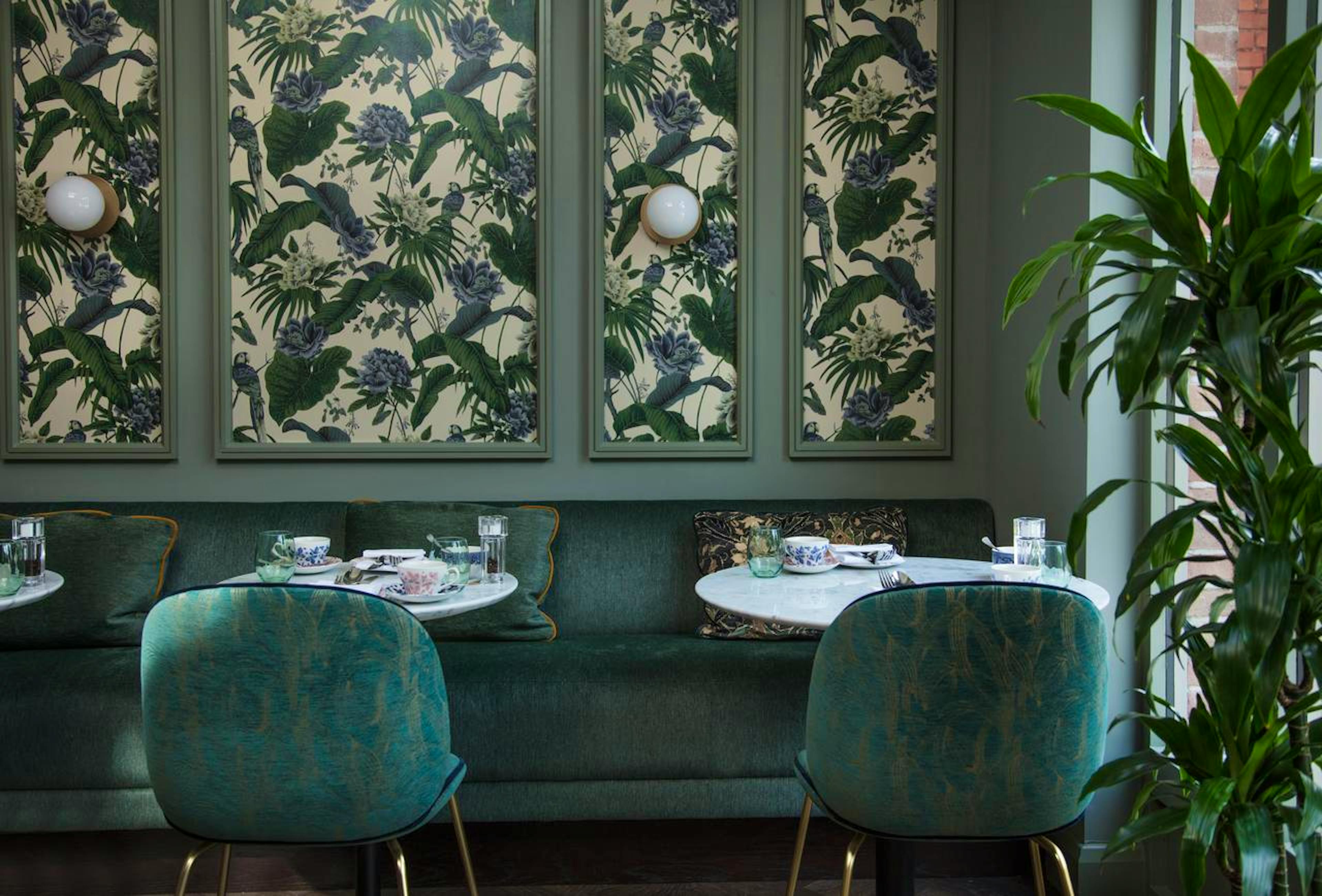 The Wilder - Image 6