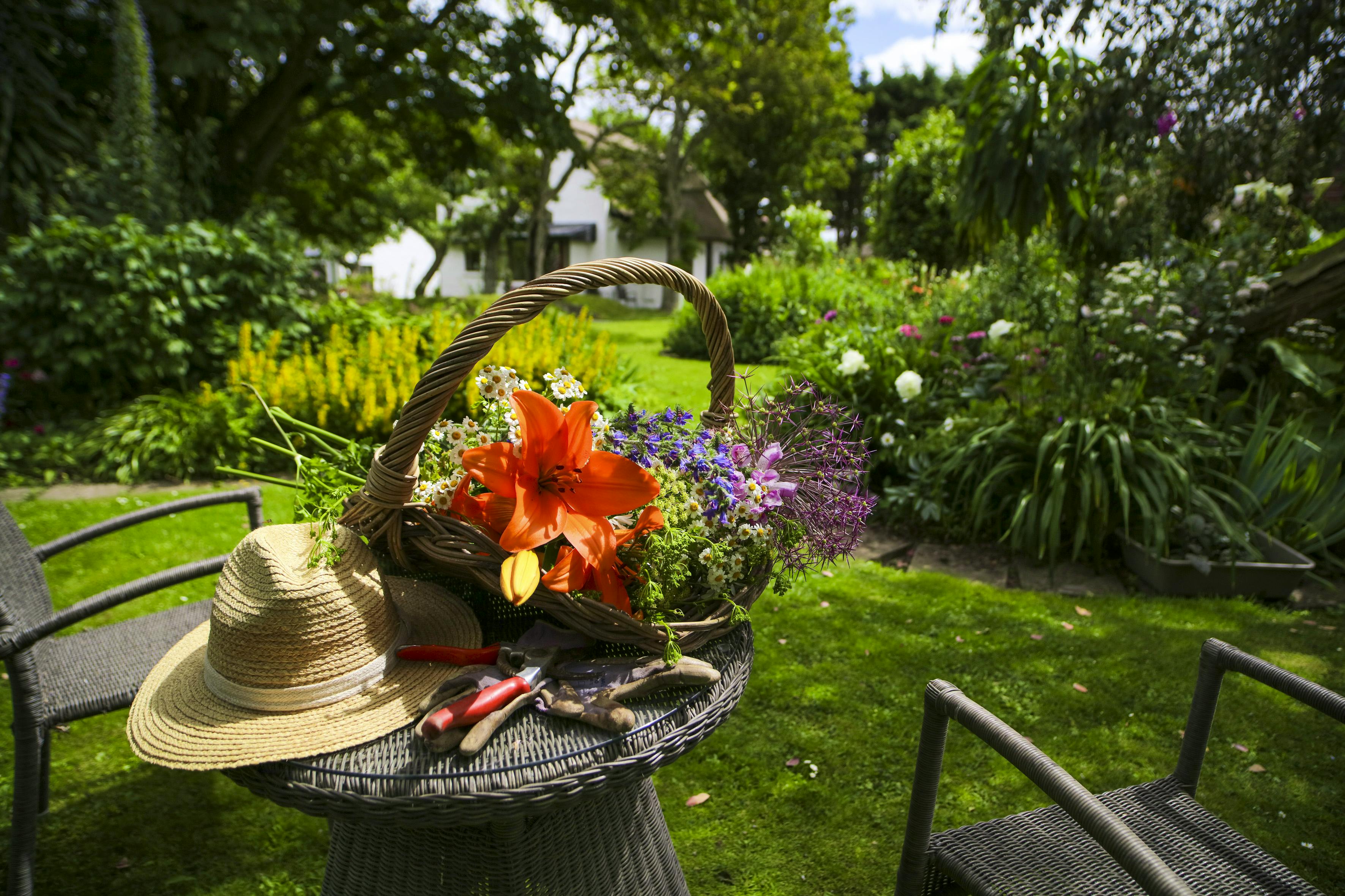 Expansive organic cottage gardens