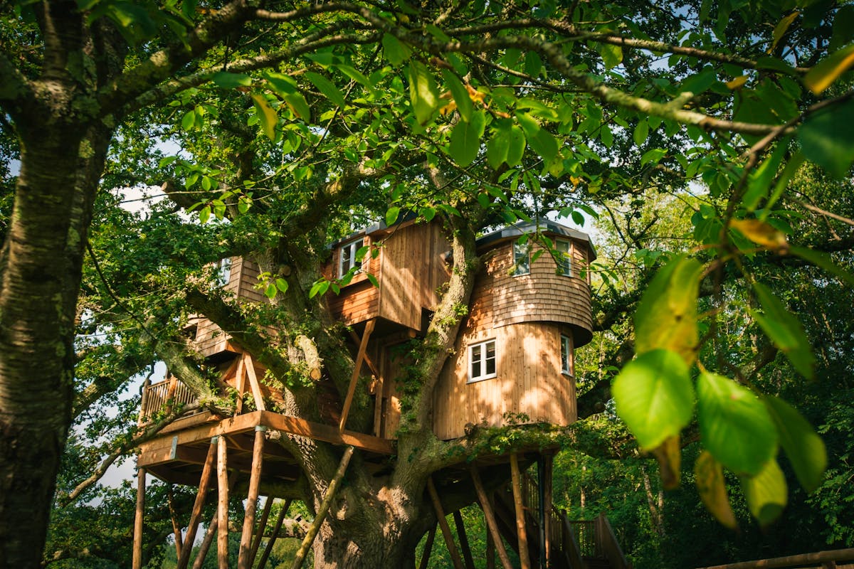 Treetops Treehouse in Eggesford Devon. Book with CoolStays
