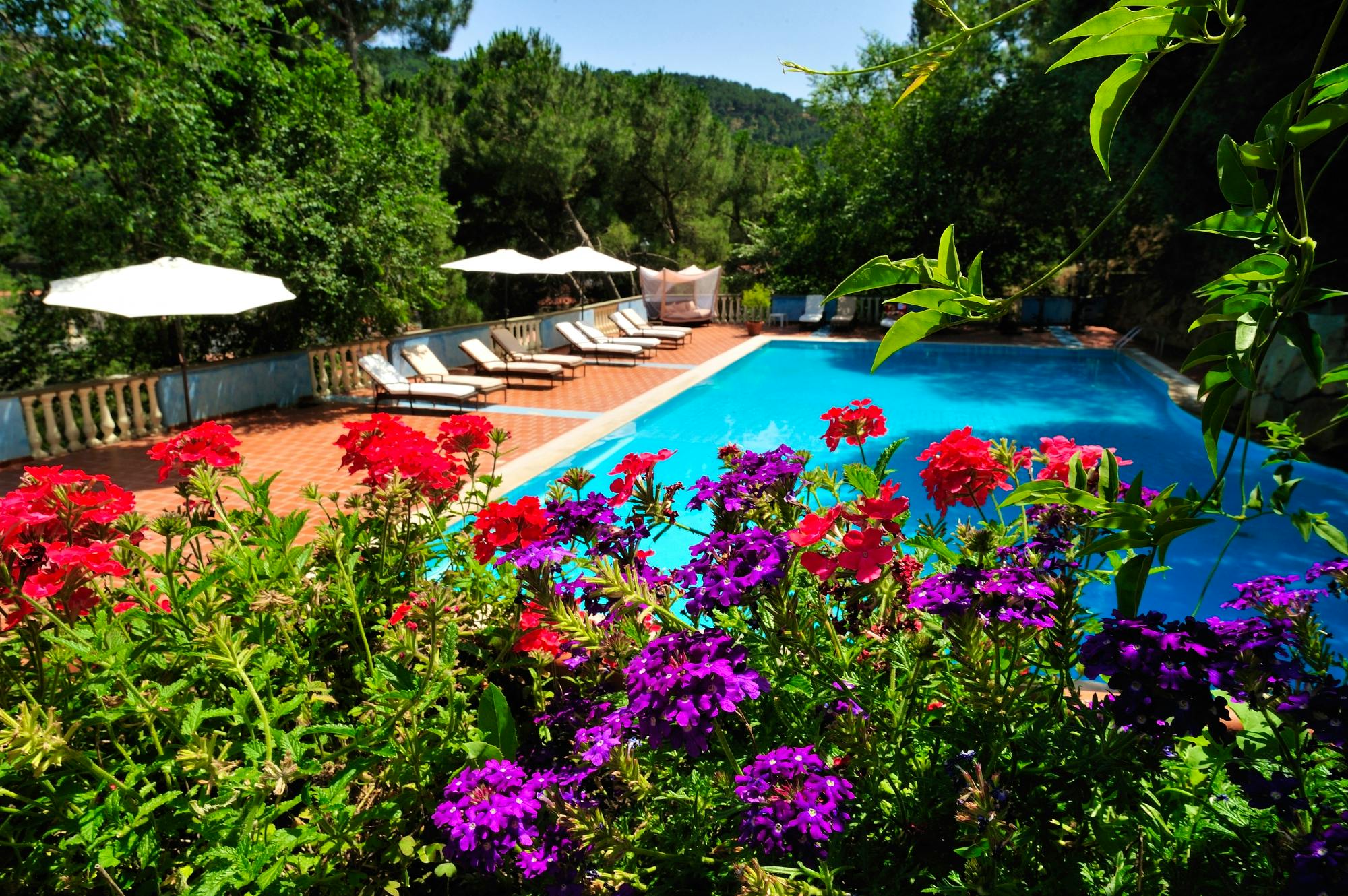 Just Landed - New CoolStays This Week - 29th Jan 2015