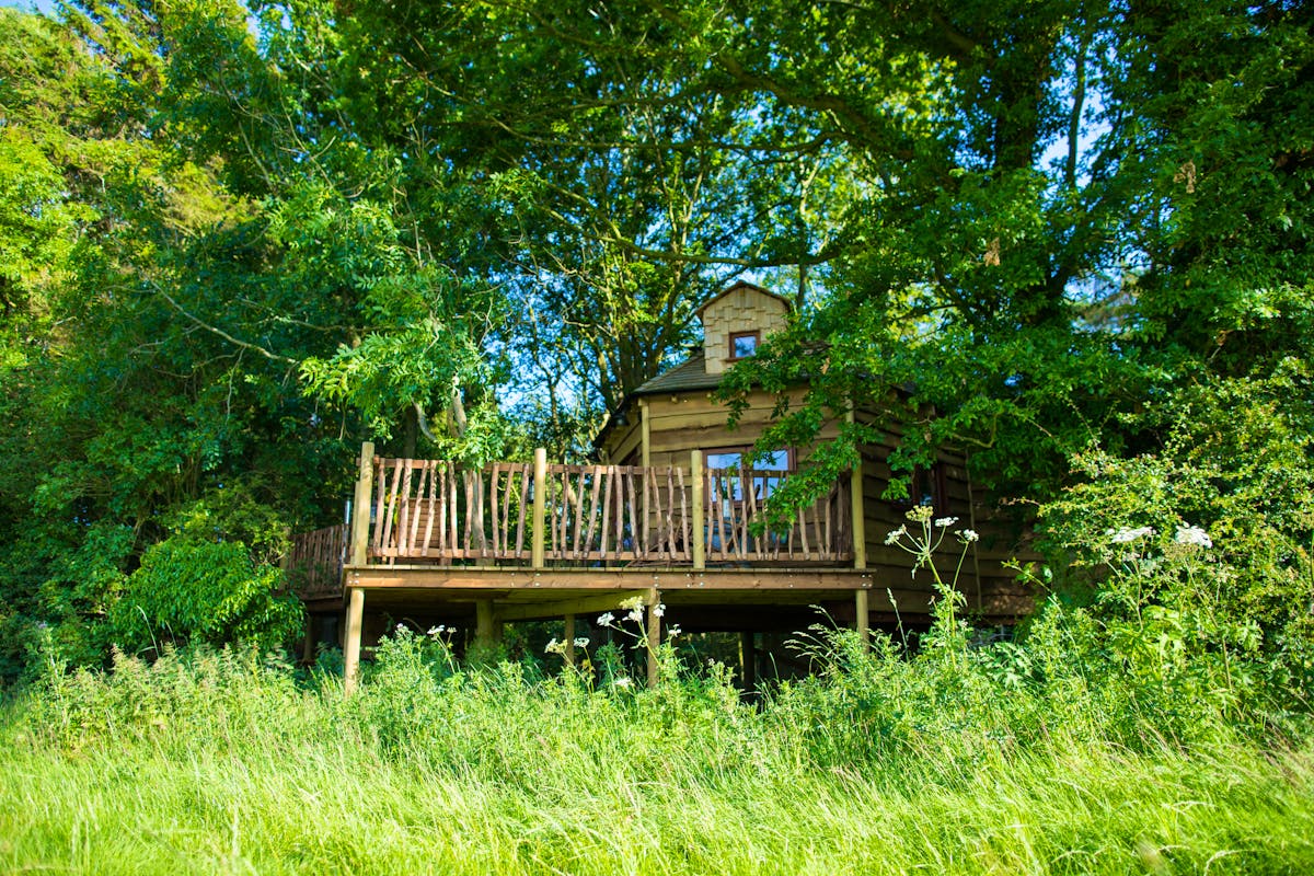 Woodland Chase Treehouse Cosy Northumberland treehouse